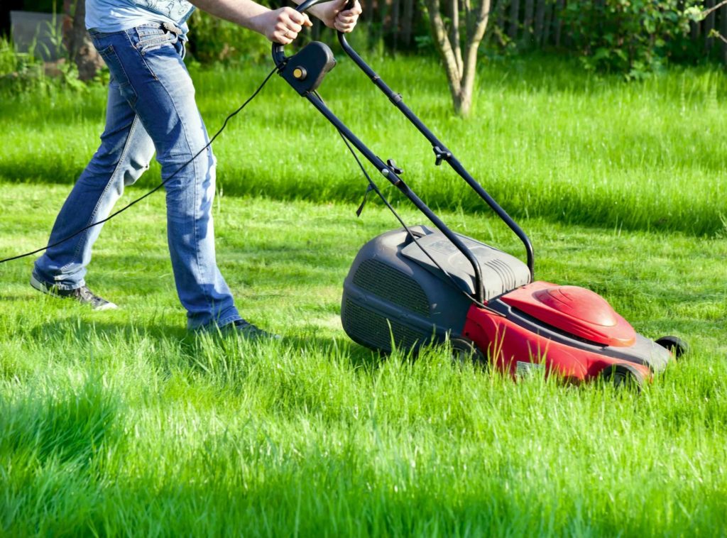 Best Battery Mower for Zero Noise and Air Pollution Lawn Gone Wild